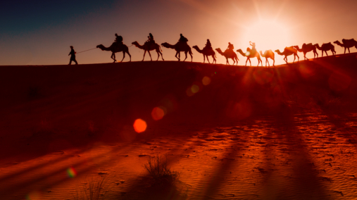 Camel caravan going through the desert