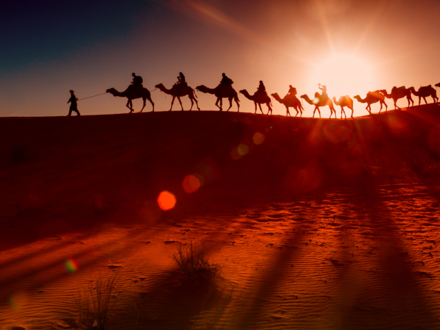 Camel caravan going through the desert